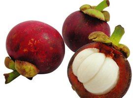 Mangosteen Extract