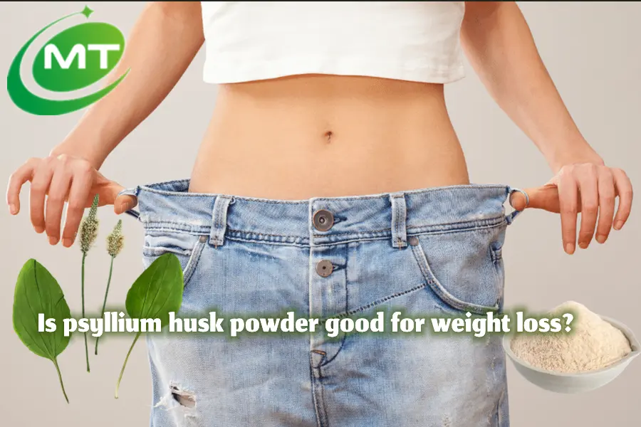 Is psyllium husk powder good for weight loss?