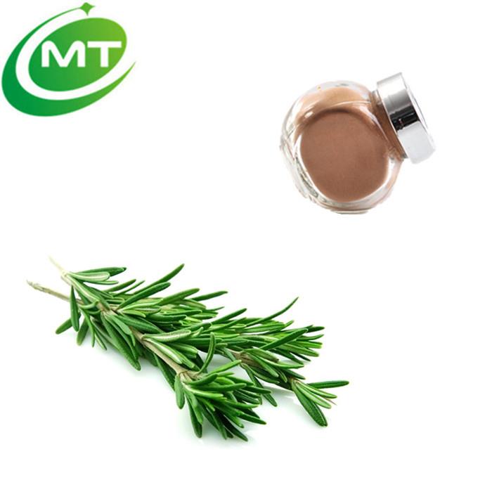 Antioxidant Properties Of Rosemary Extract