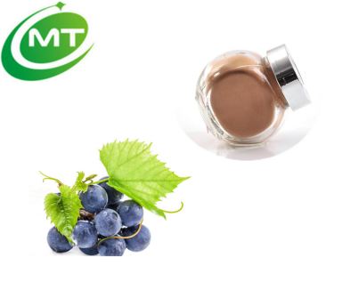 Grape Seed Extract