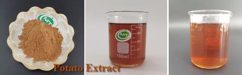 Potato extract 