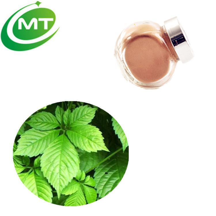 'Southern Ginseng'Gynostemma Extract