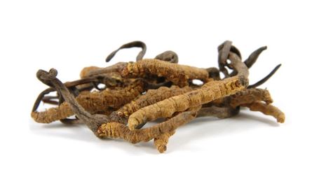 Cordyceps Extracts