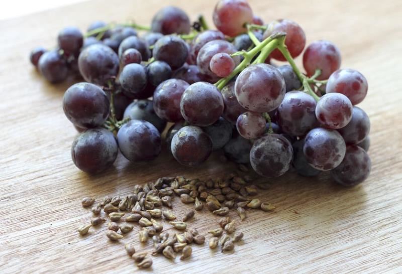 Grape Seed Extract