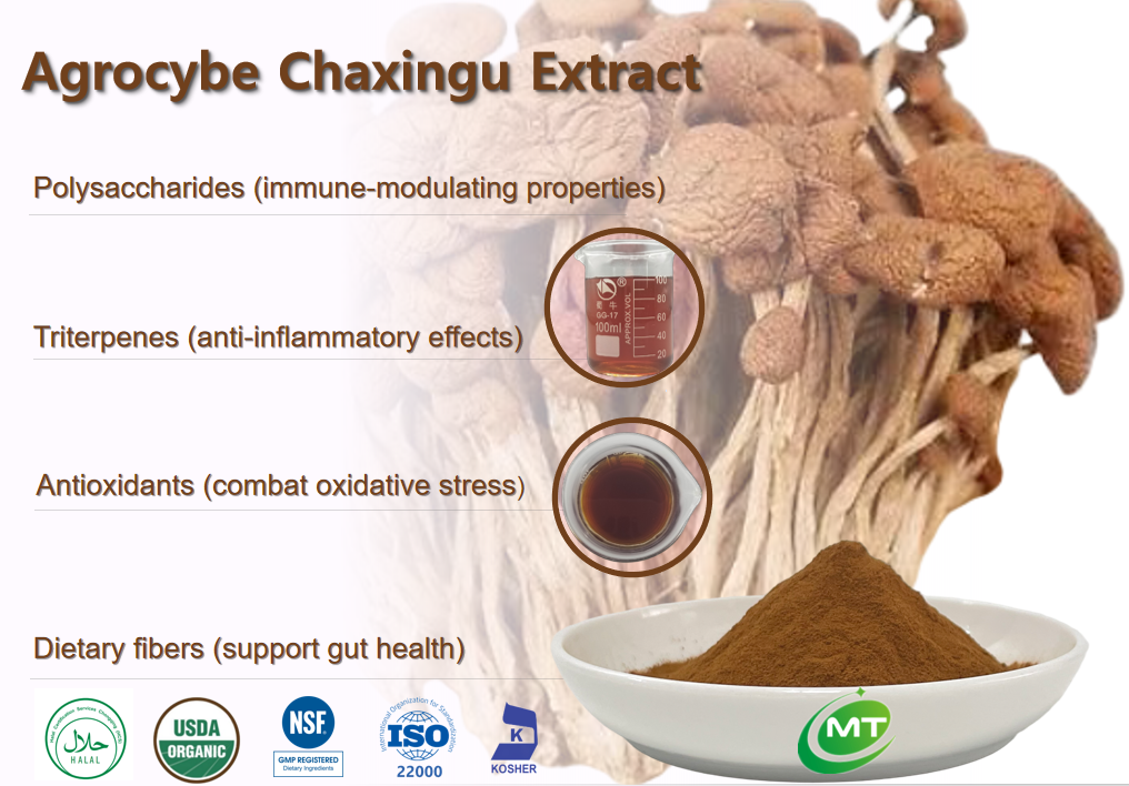What are the health benefits of Agrocybe Chaxingu Extract