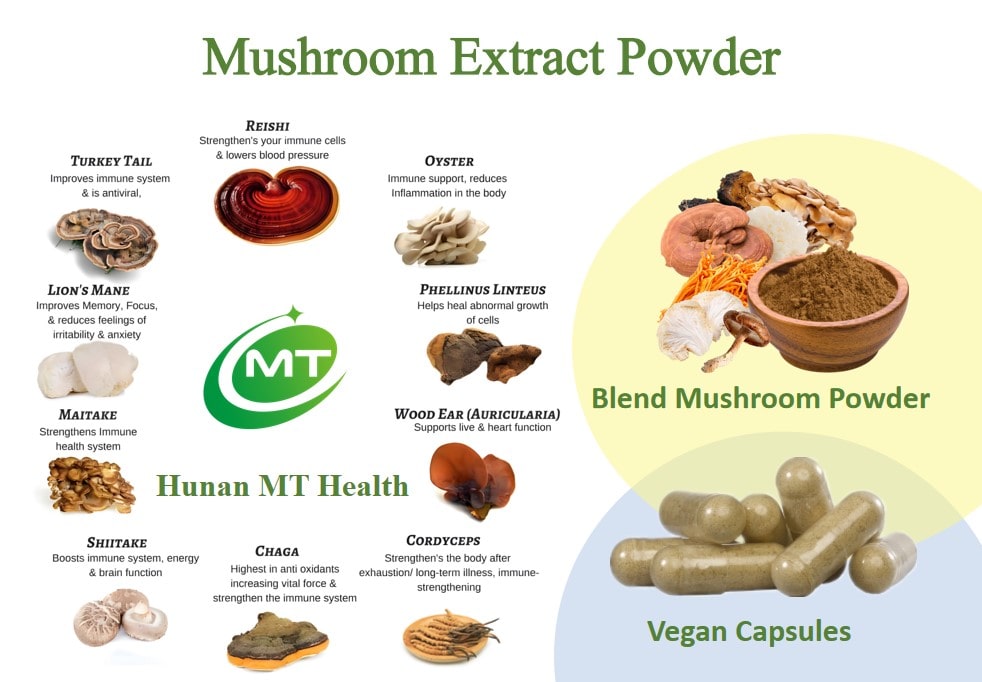 Mushroom extract powder