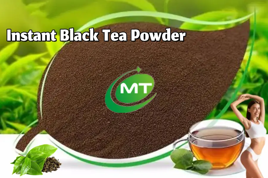 Black Tea Powder vs. Normal Tea Powder: Key Differences Explained