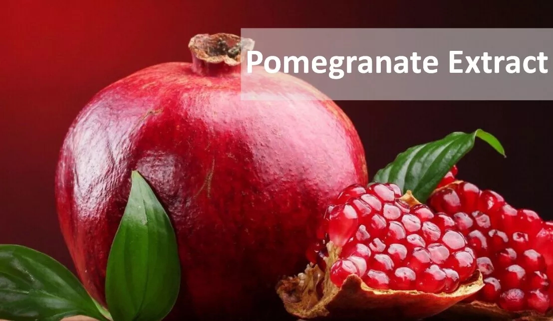 Pomegranate Peel Extract