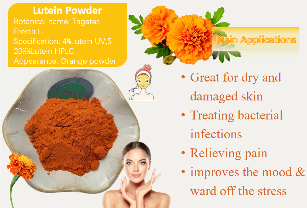 What Is Lutein Powder Used For?